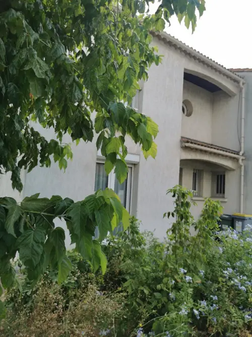 Béziers Hérault house foto 7126599