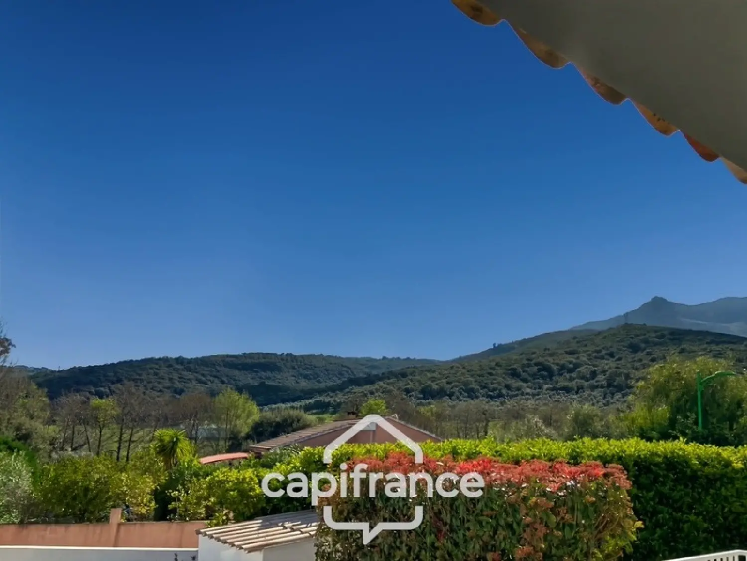  kaufen Haus Borgo Haute-Corse 4