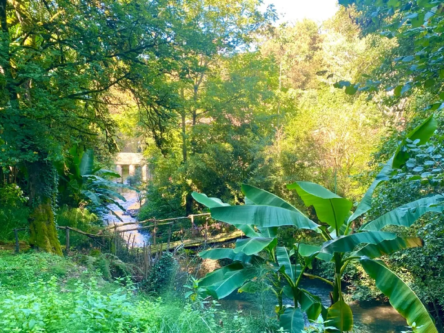  à vendre maison Bougue Landes 7