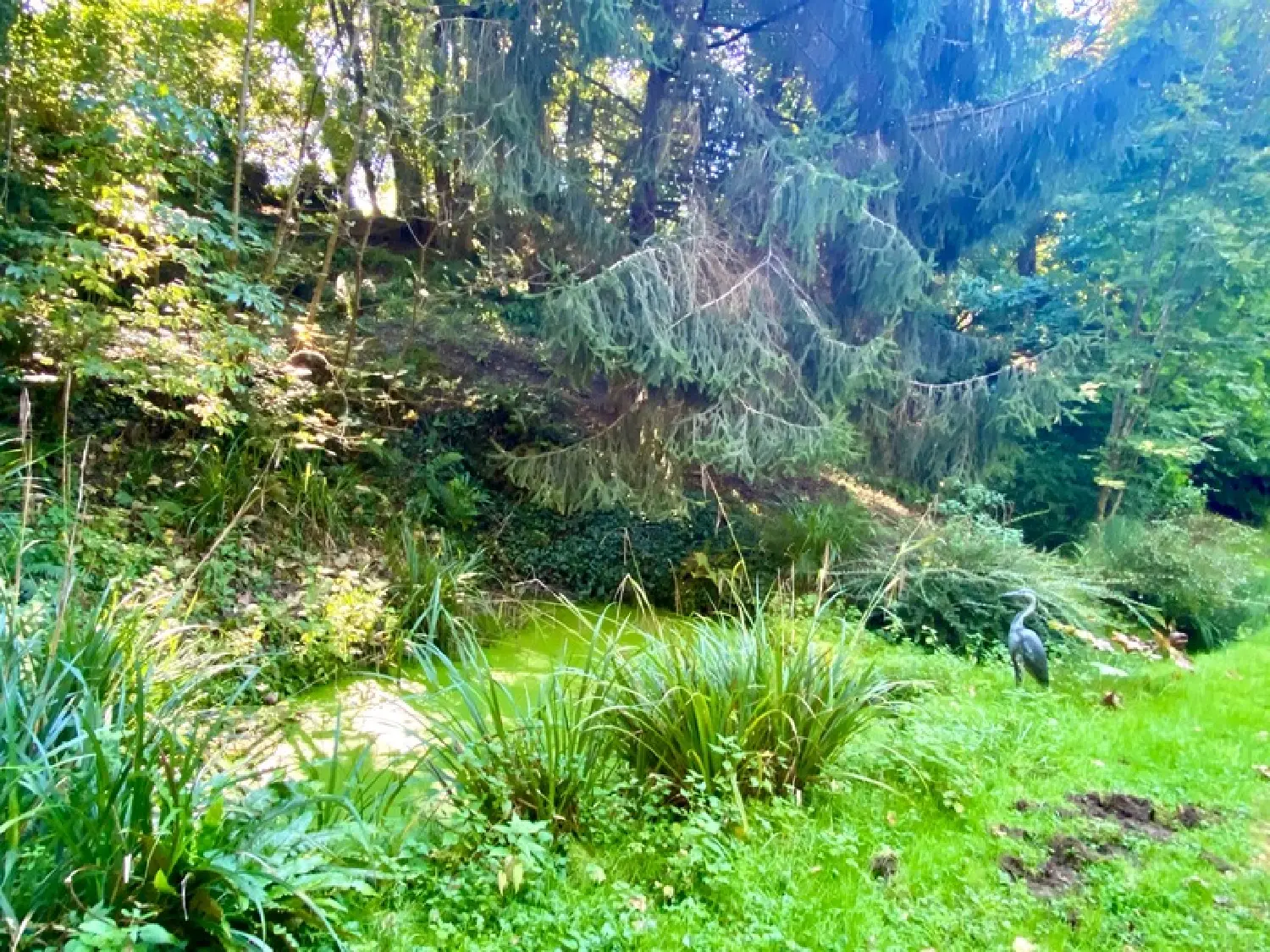  à vendre maison Bougue Landes 8
