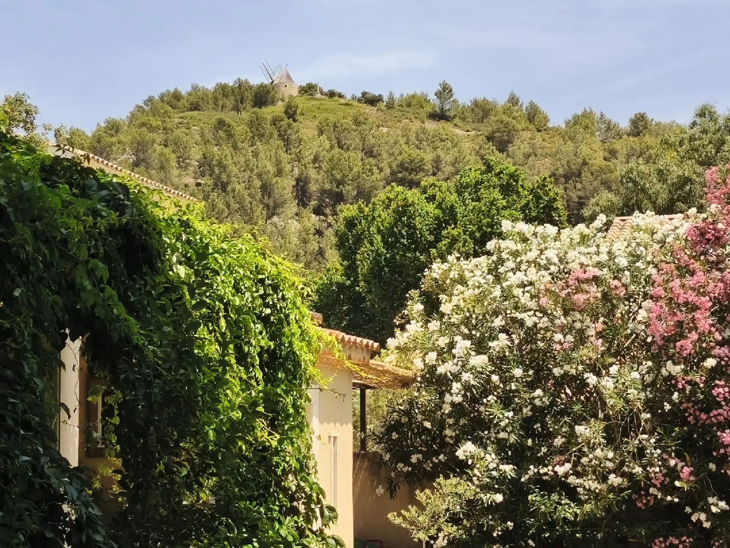  for sale house Boulbon Bouches-du-Rhône 5
