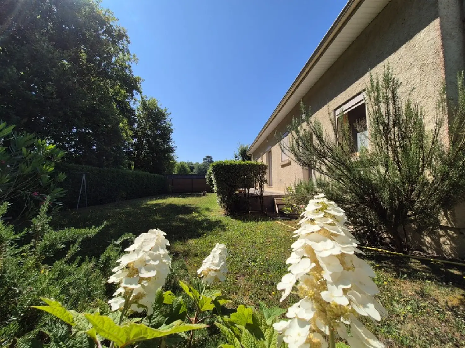  kaufen Haus Breuillet Charente-Maritime 8