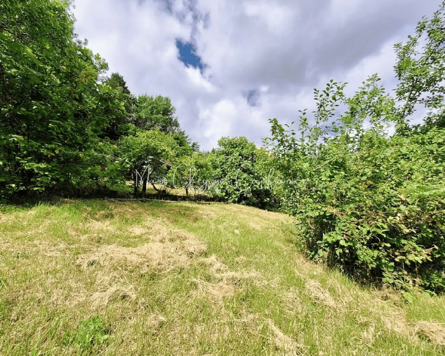  à vendre maison Brive-la-Gaillarde Corrèze 8
