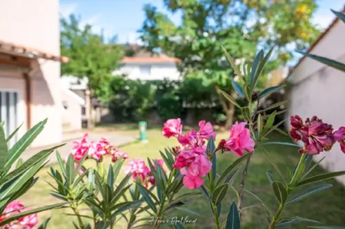 Bron Rhône Haus Bild 7122576