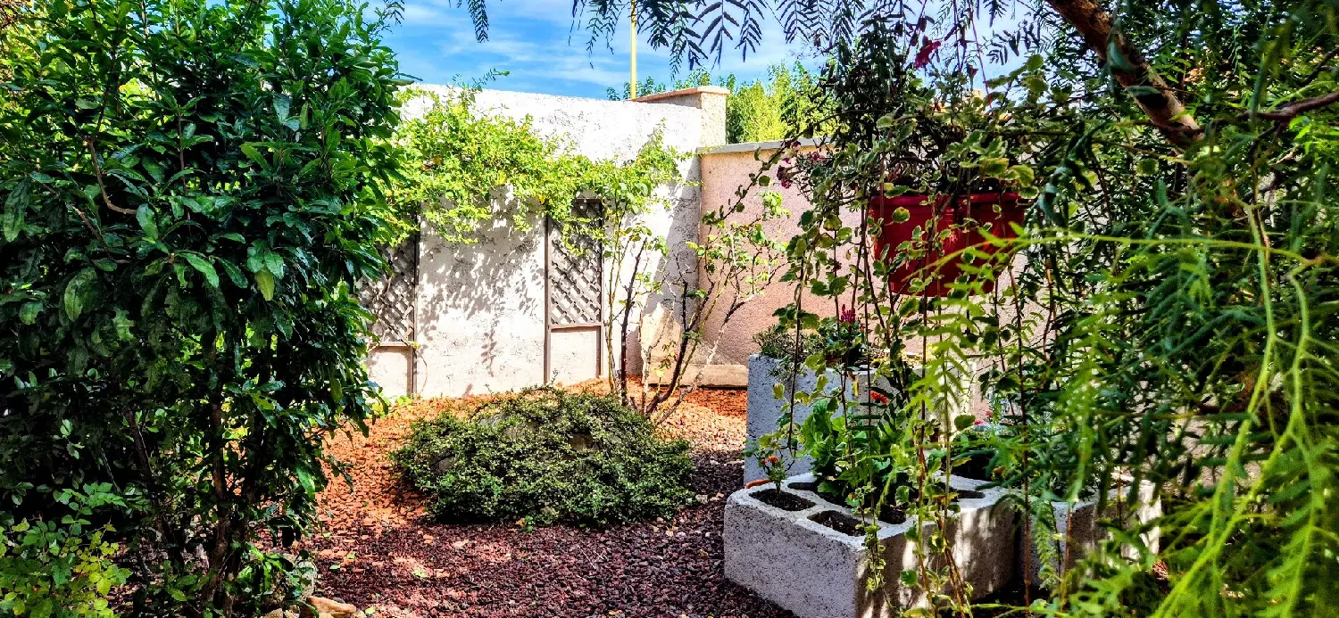  à vendre maison Brouilla Pyrénées-Orientales 5
