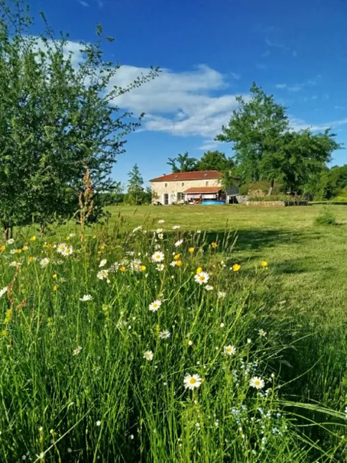 Bussière-Boffy Haute-Vienne house foto 7122258