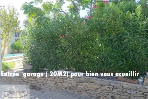 Caissargues Gard Haus Bild 7117641