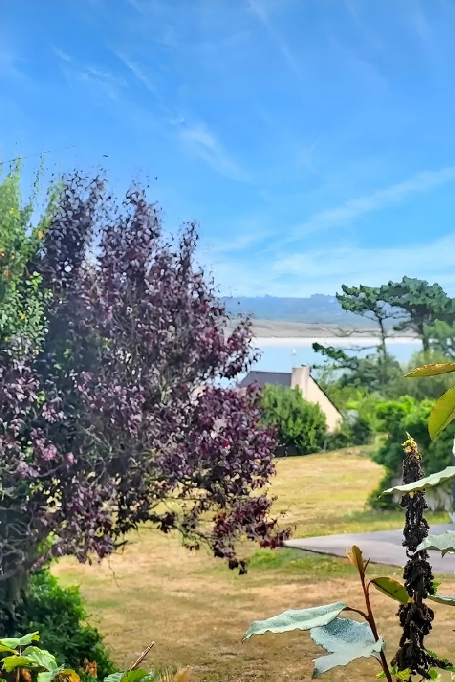  kaufen Haus Camaret-sur-Mer Finistère 2