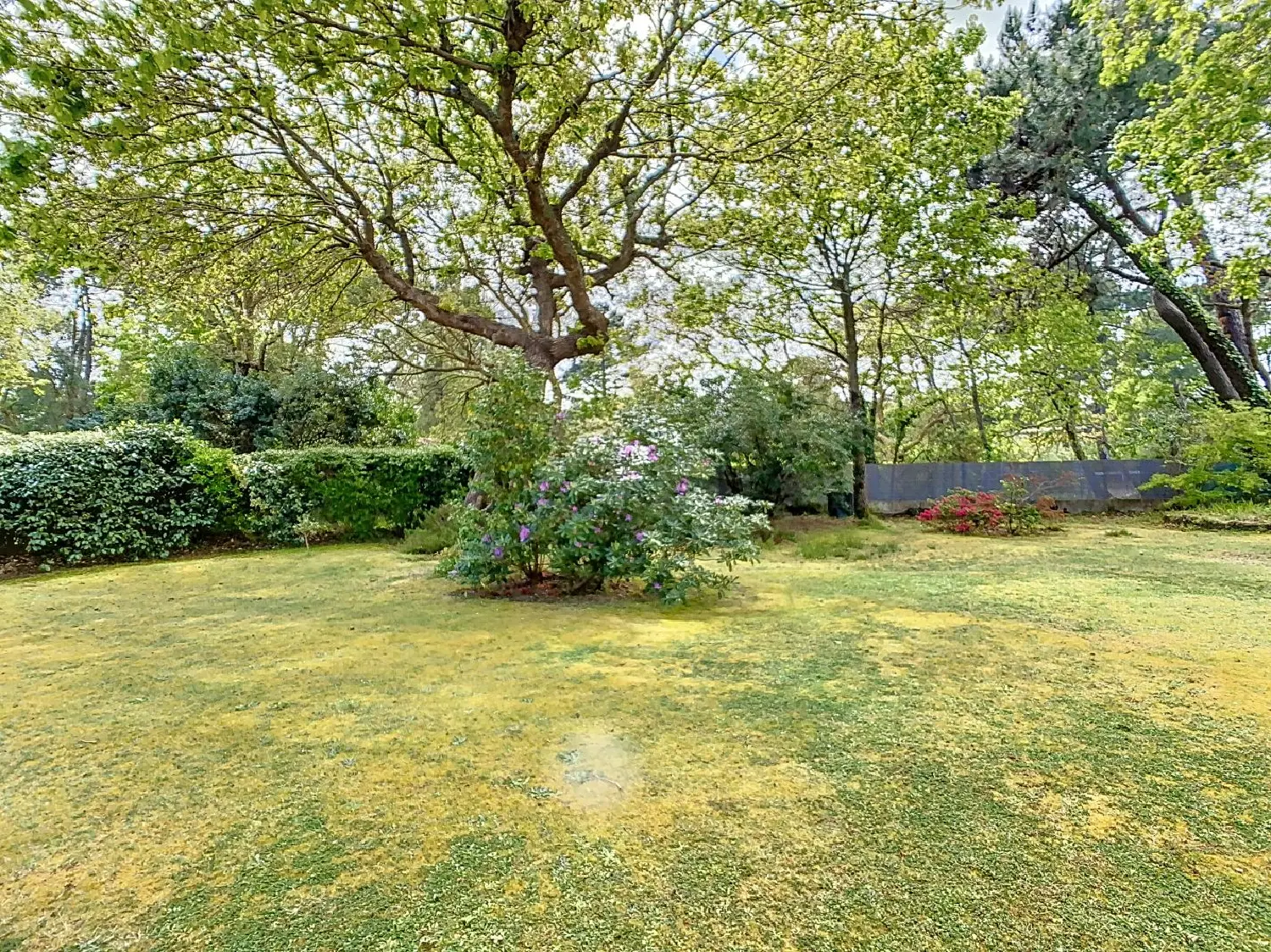  à vendre maison Capbreton Landes 2