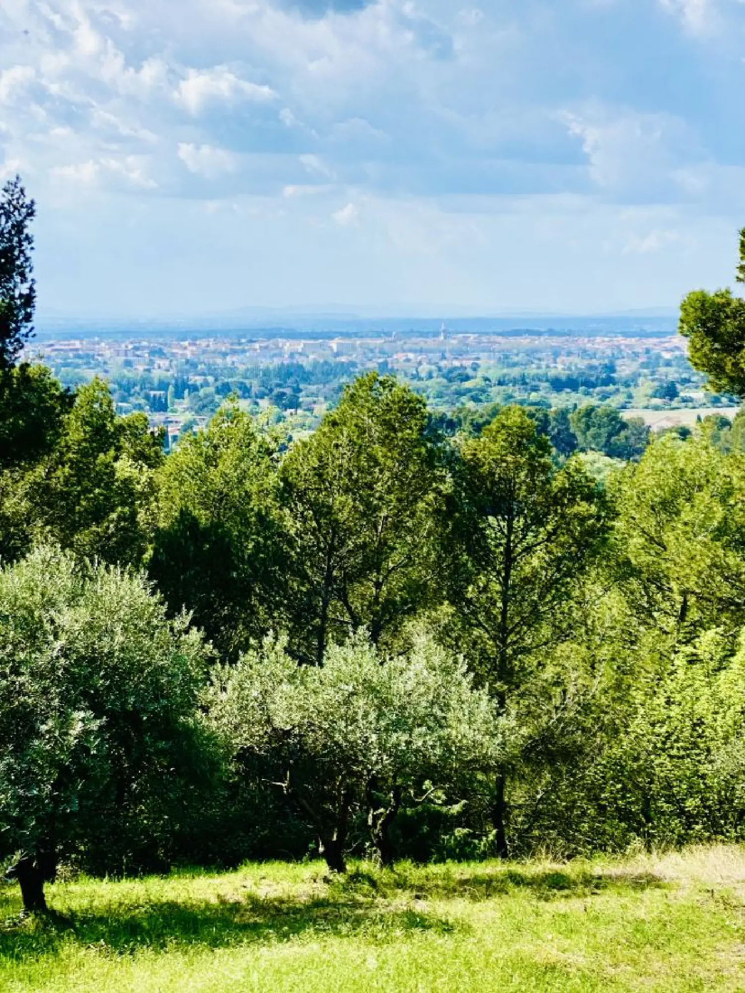  kaufen Haus Carpentras Vaucluse 4
