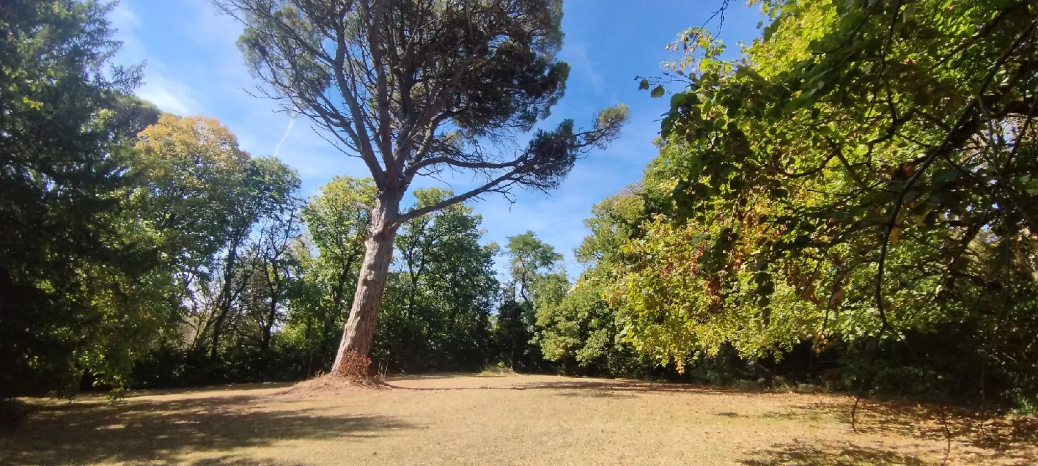  à vendre maison Castelnaudary Aude 3