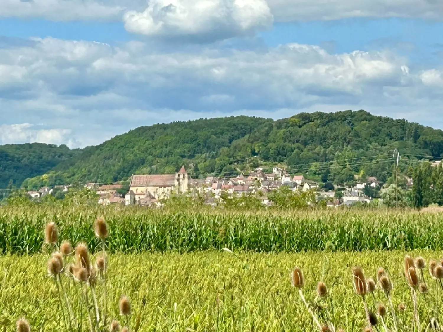  à vendre maison Castels Dordogne 2