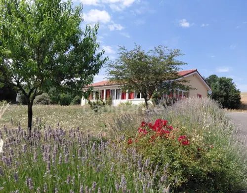 Cayrols Cantal maison foto 7124517
