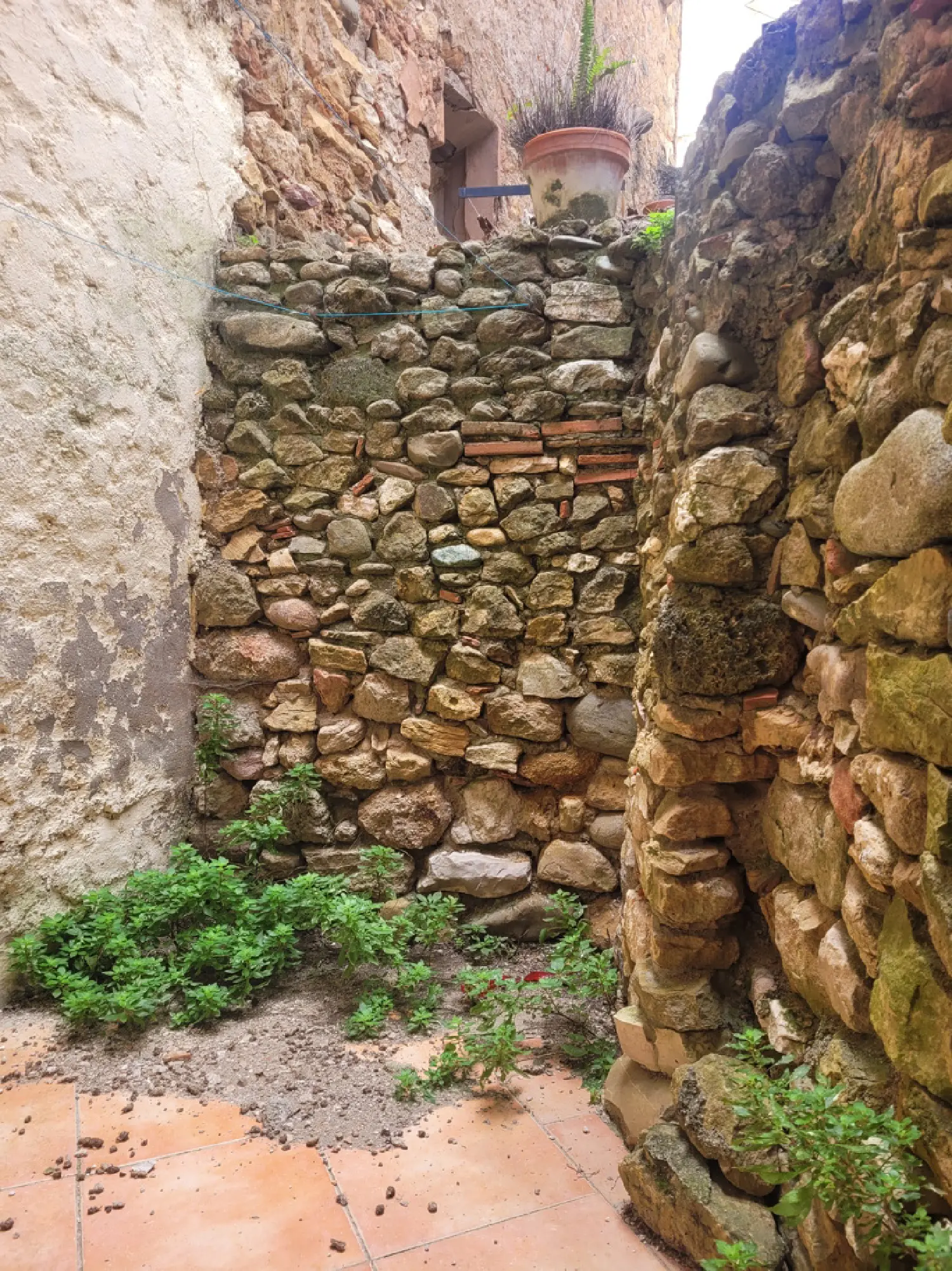  kaufen Haus Cazedarnes Hérault 3