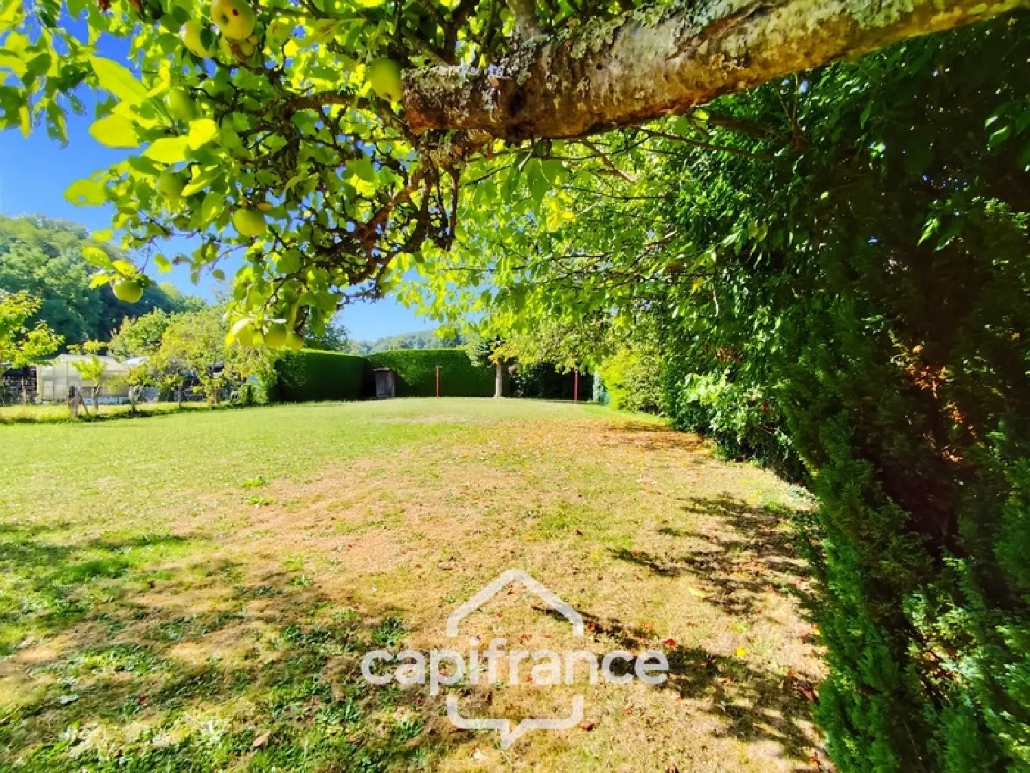  te koop huis Cellé Loir-et-Cher 3