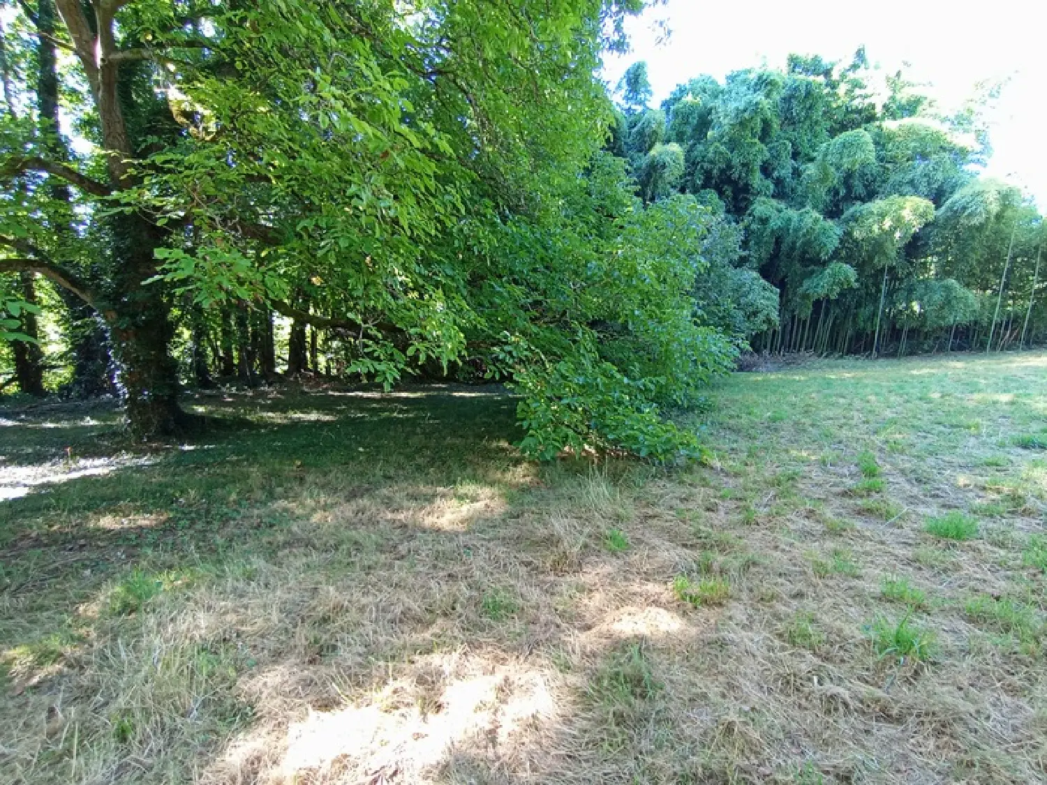  en venta casa Celles-sur-Belle Deux-Sèvres 7