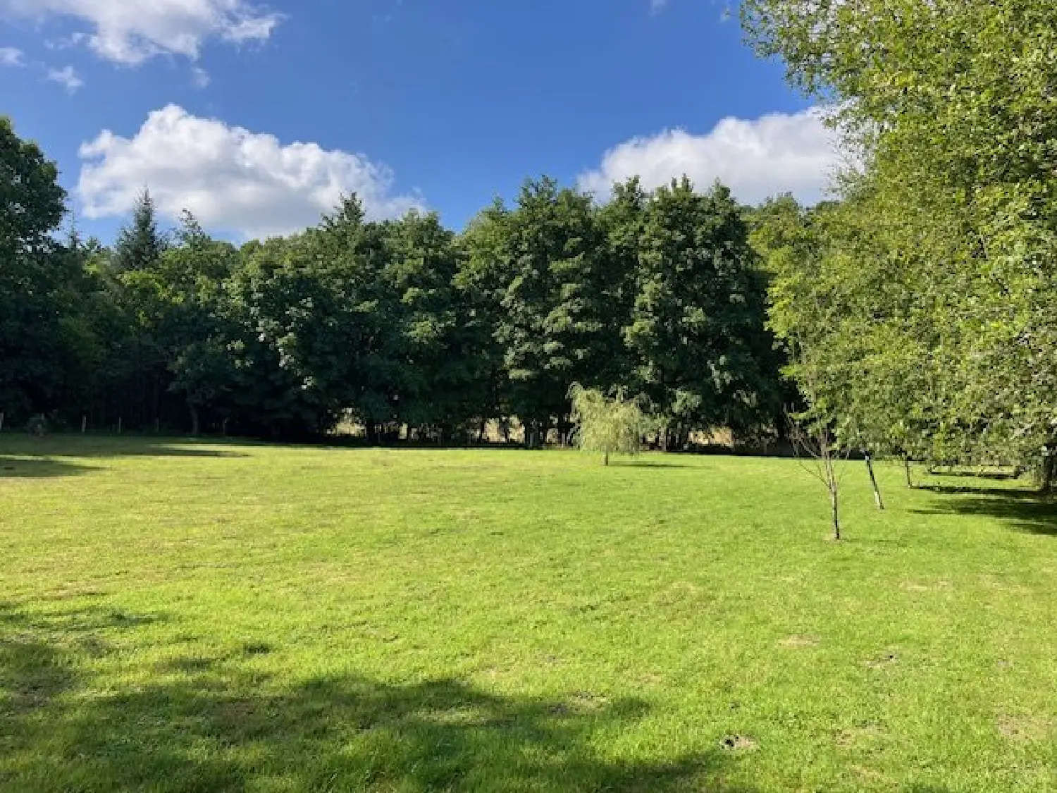  te koop huis Champagnac-la-Rivière Haute-Vienne 3