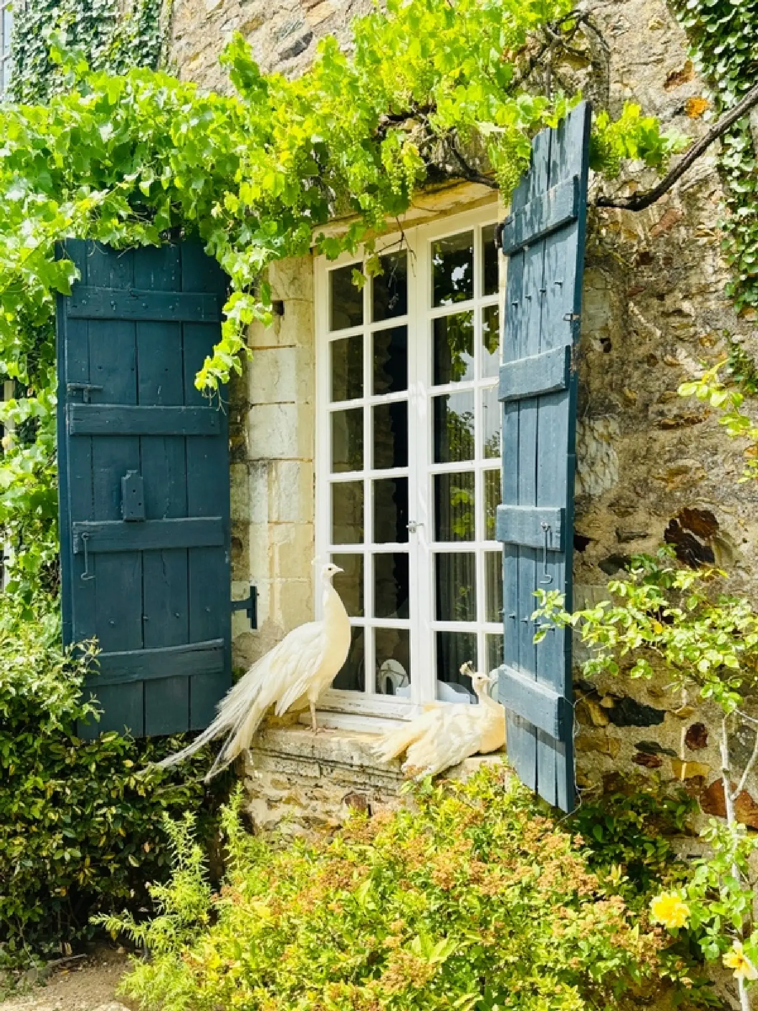 à vendre maison Château-Gontier Mayenne 6