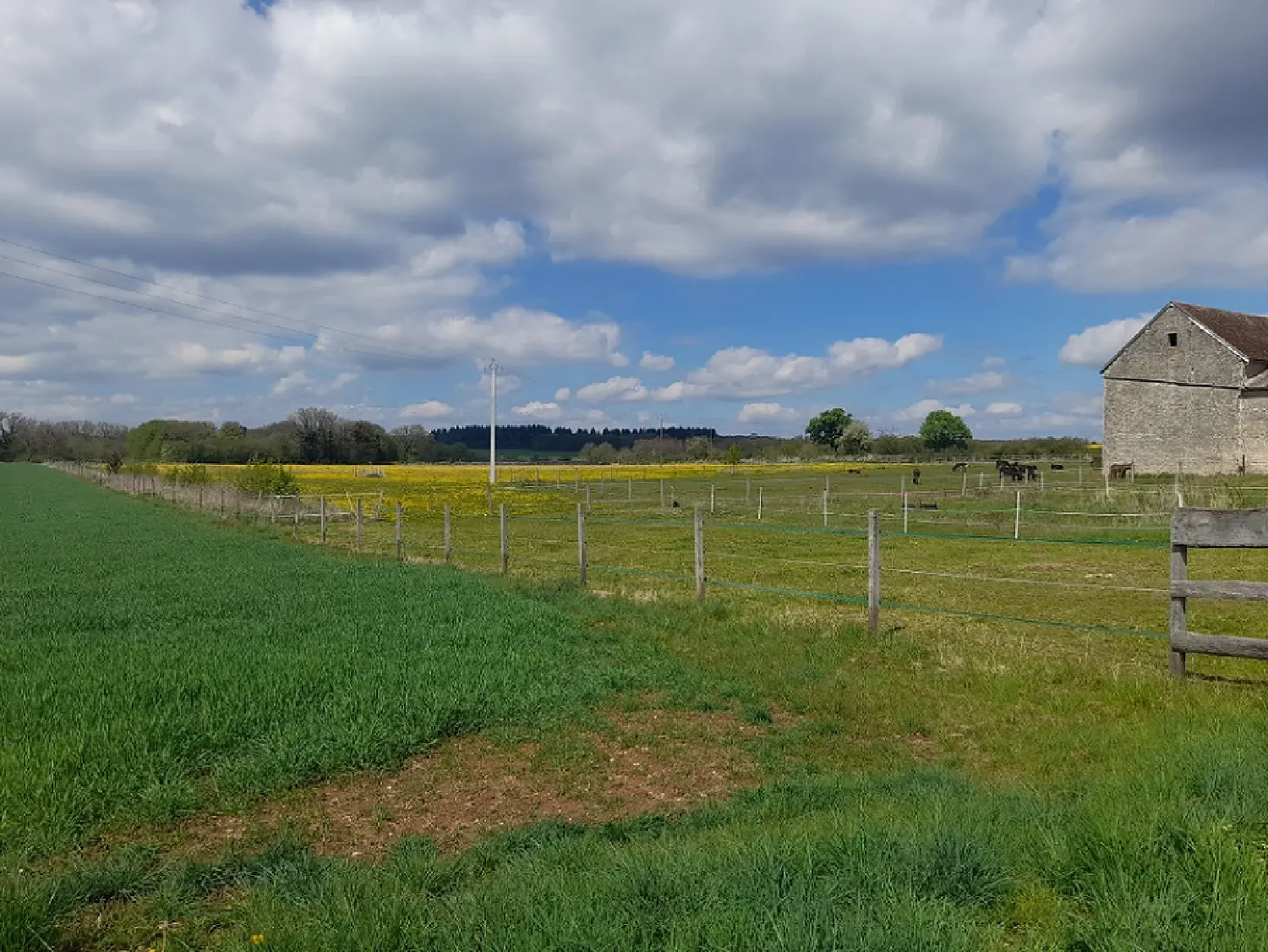  te koop huis Châtillon-sur-Seine Côte-d'Or 5