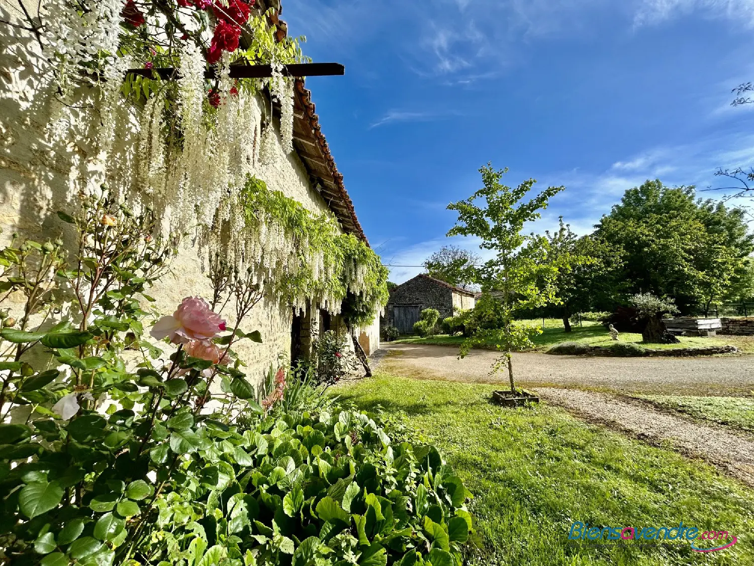  kaufen Haus Châtillon Vienne 3