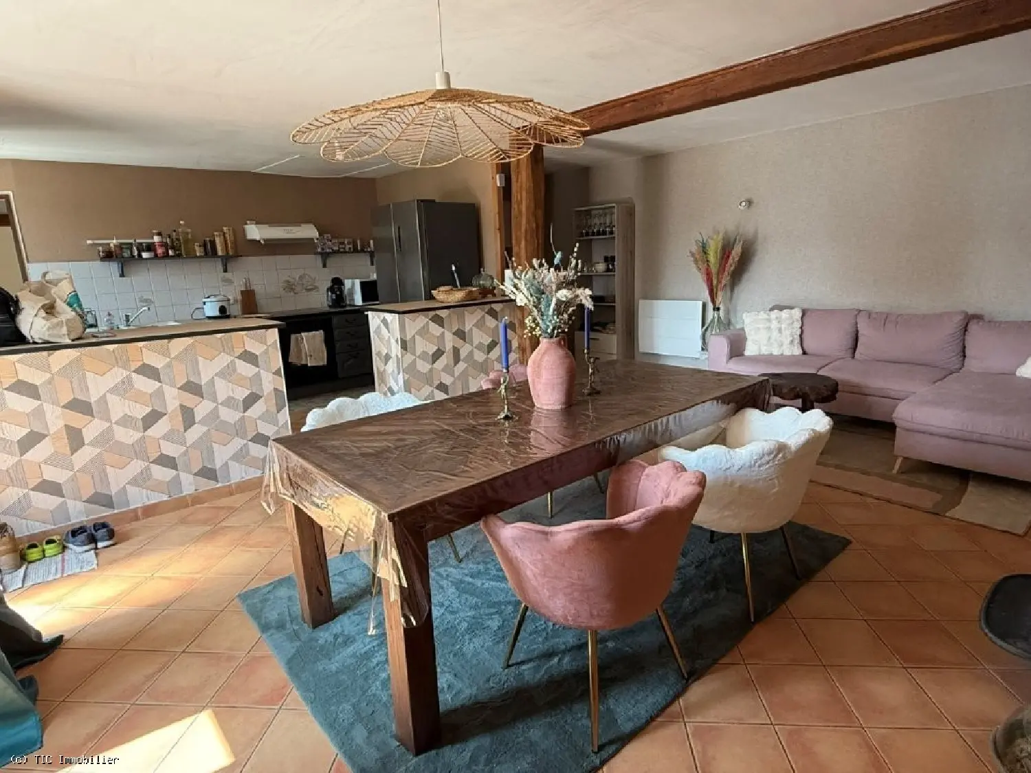  te koop huis Chaunay Vienne 4