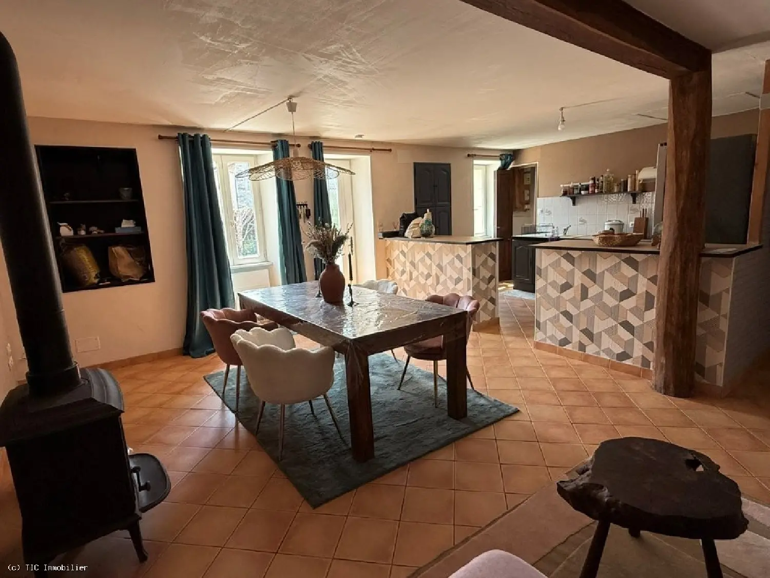  te koop huis Chaunay Vienne 5