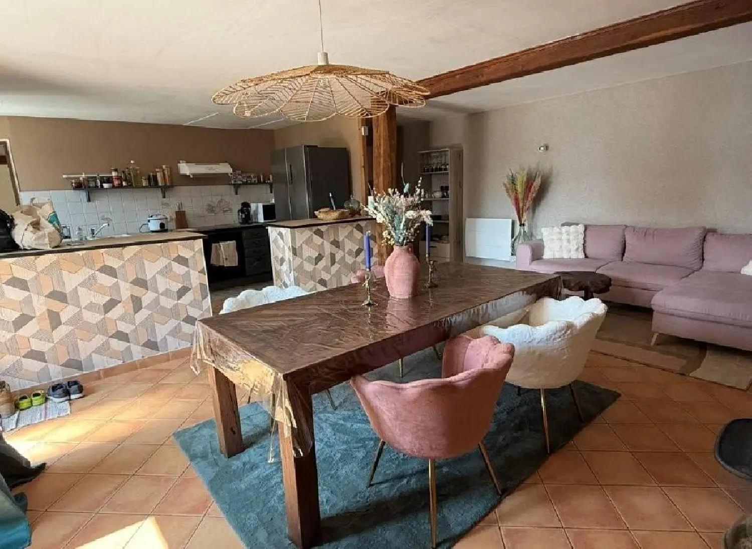  te koop huis Chaunay Vienne 4