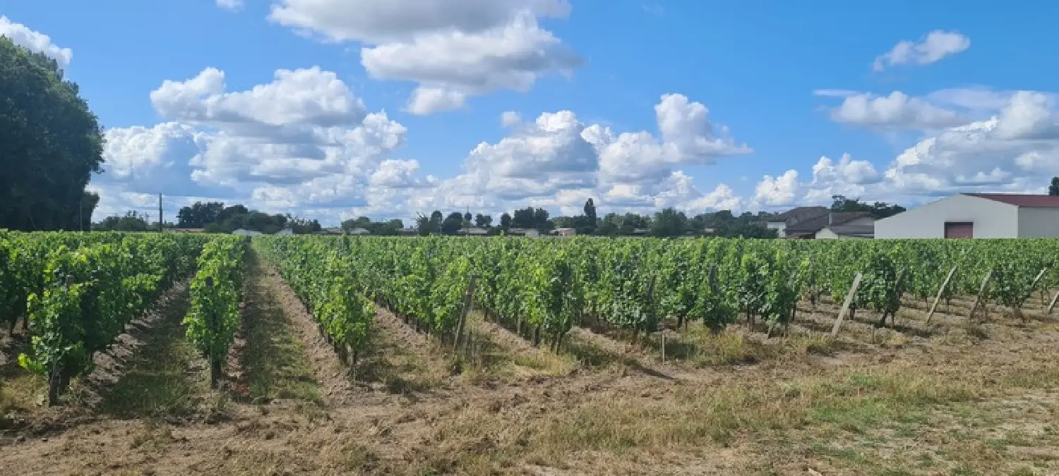  te koop huis Cissac-Médoc Gironde 2