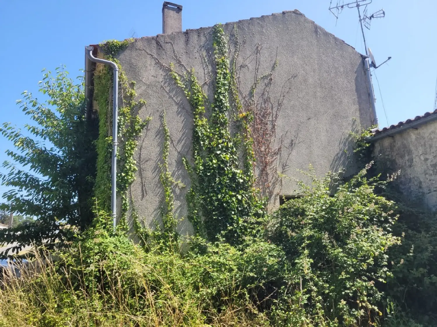  te koop huis Cissac-Médoc Gironde 3
