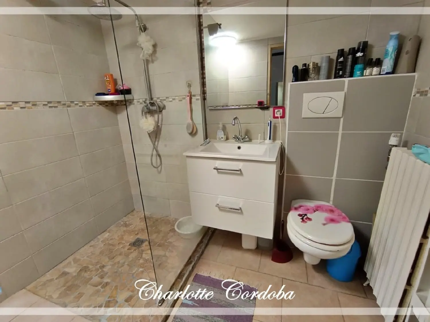  te koop huis Colayrac-Saint-Cirq Lot-et-Garonne 7