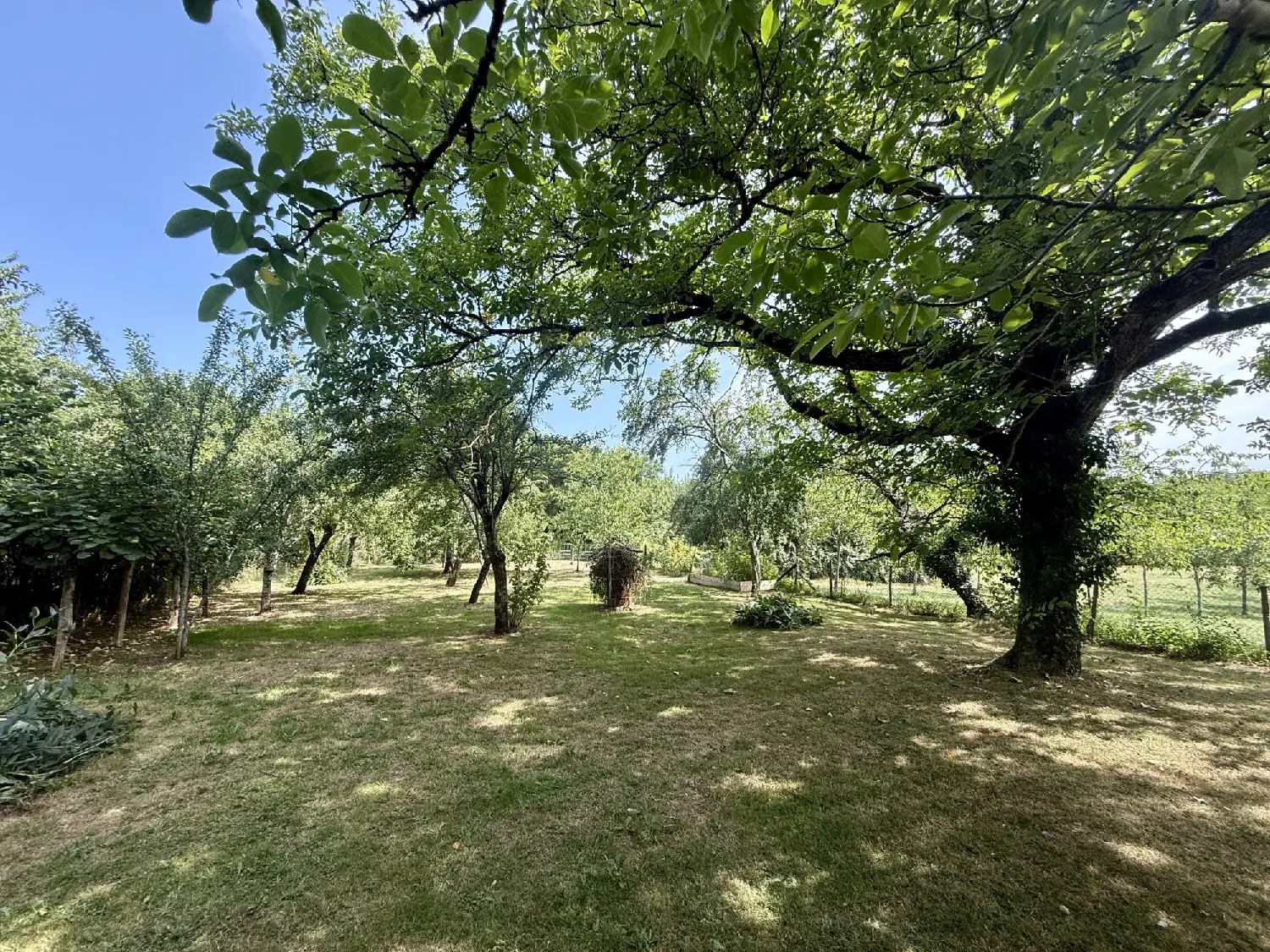 te koop huis Corgnac-sur-l'Isle Dordogne 7
