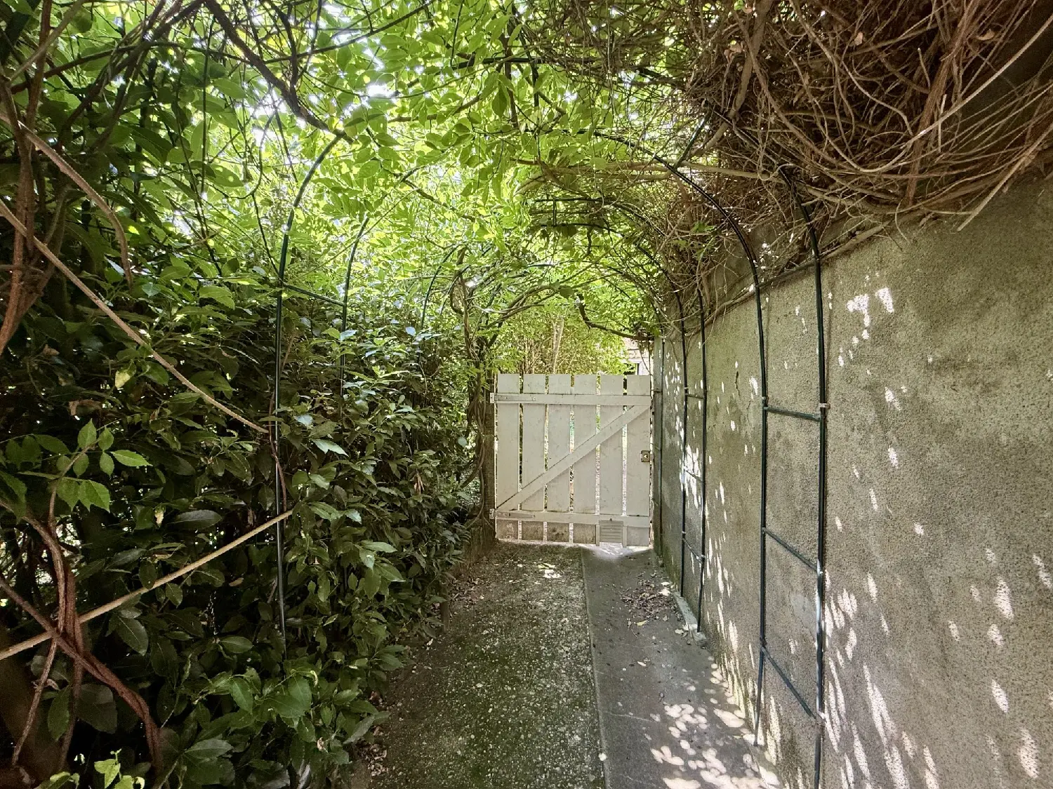  te koop huis Corgnac-sur-l'Isle Dordogne 8
