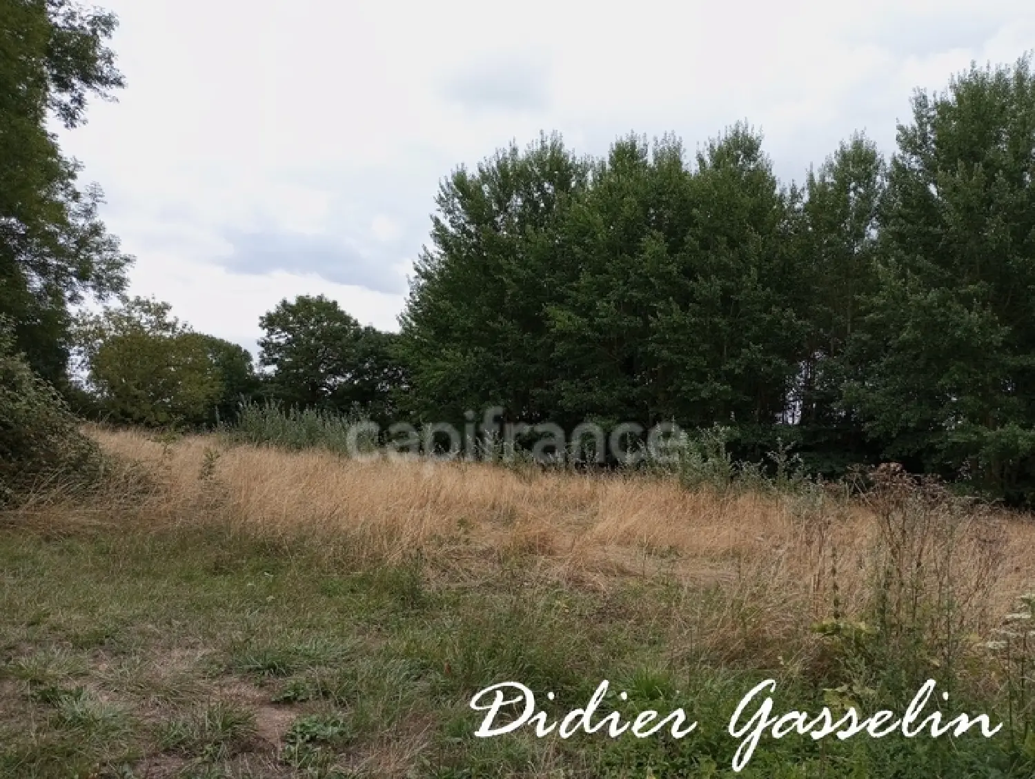  te koop huis Coudreceau Eure-et-Loir 6
