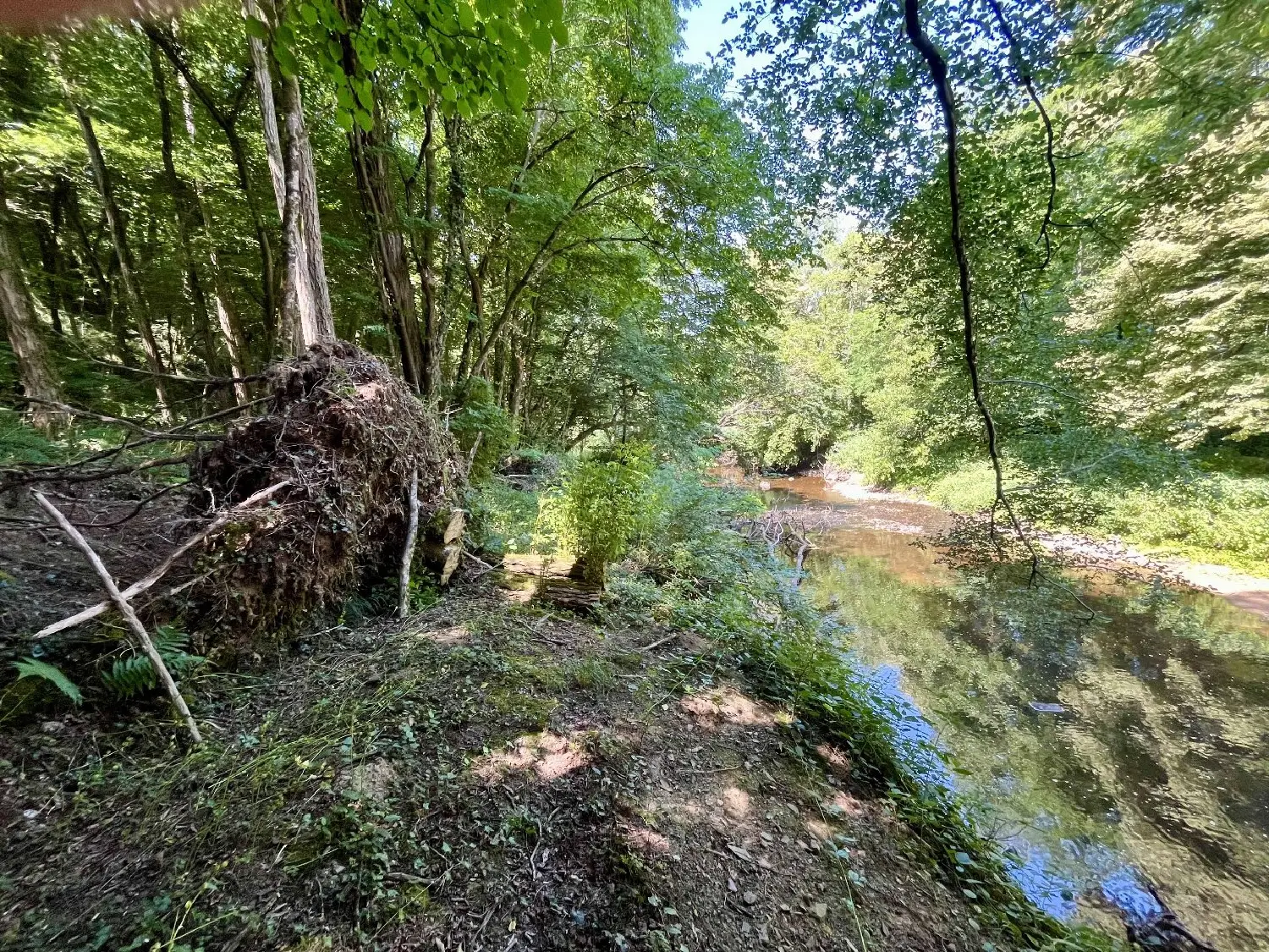  te koop huis Darnac Haute-Vienne 4