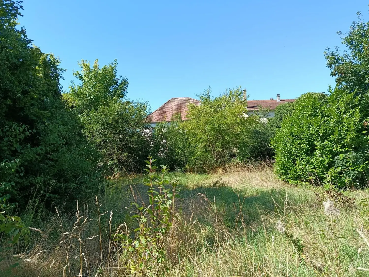  for sale house Dieuze Moselle 2