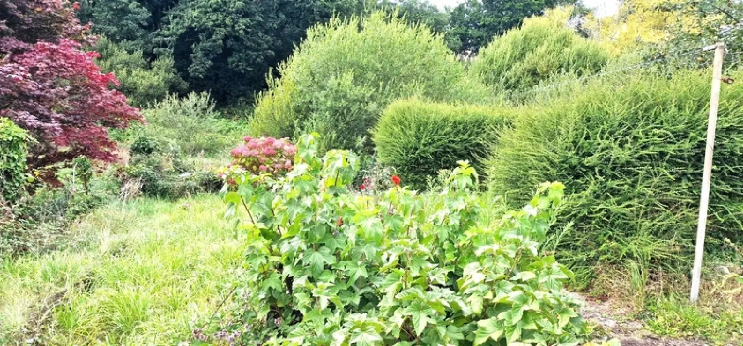  te koop huis Douarnenez Finistère 2