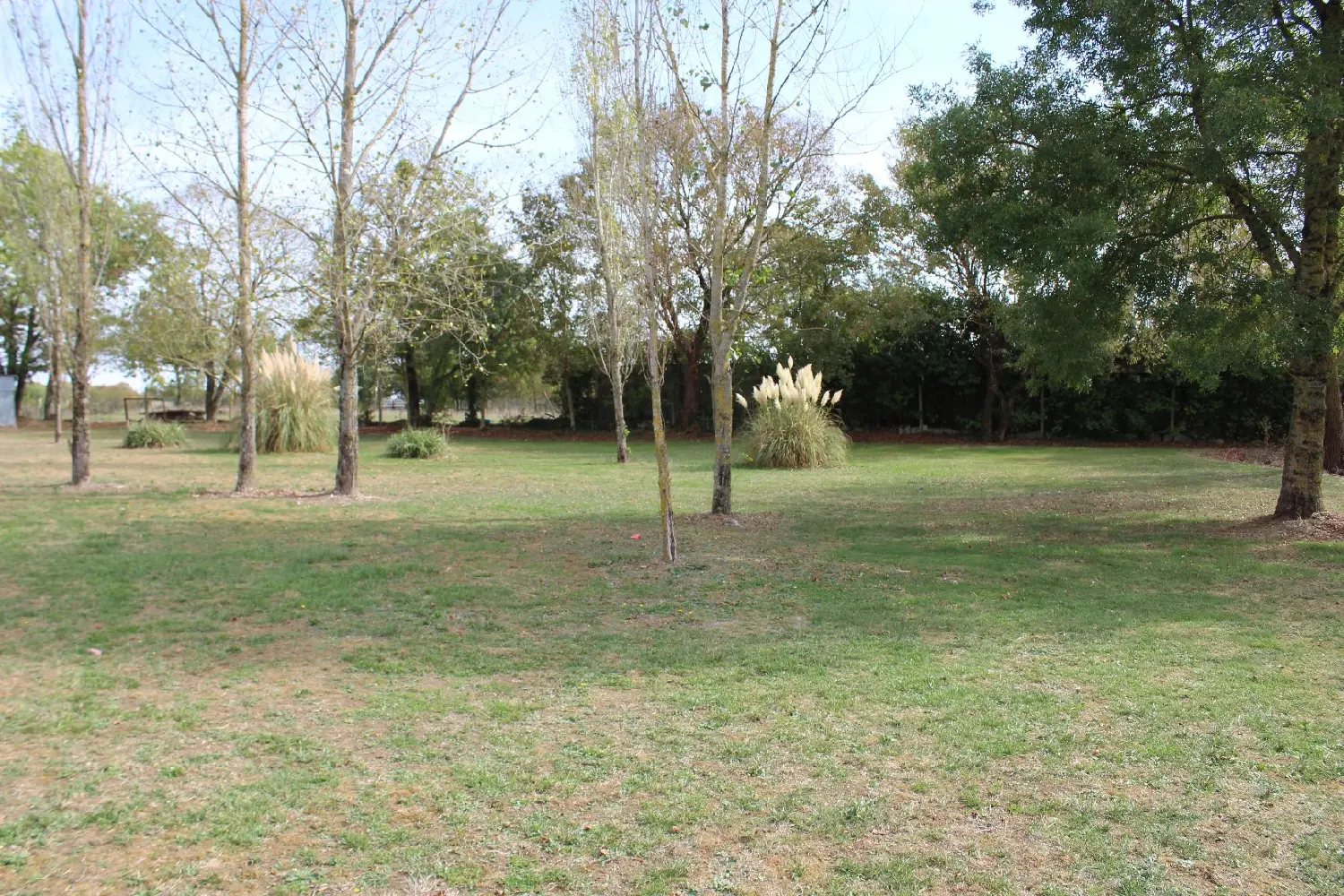  for sale house Embourie Charente 2