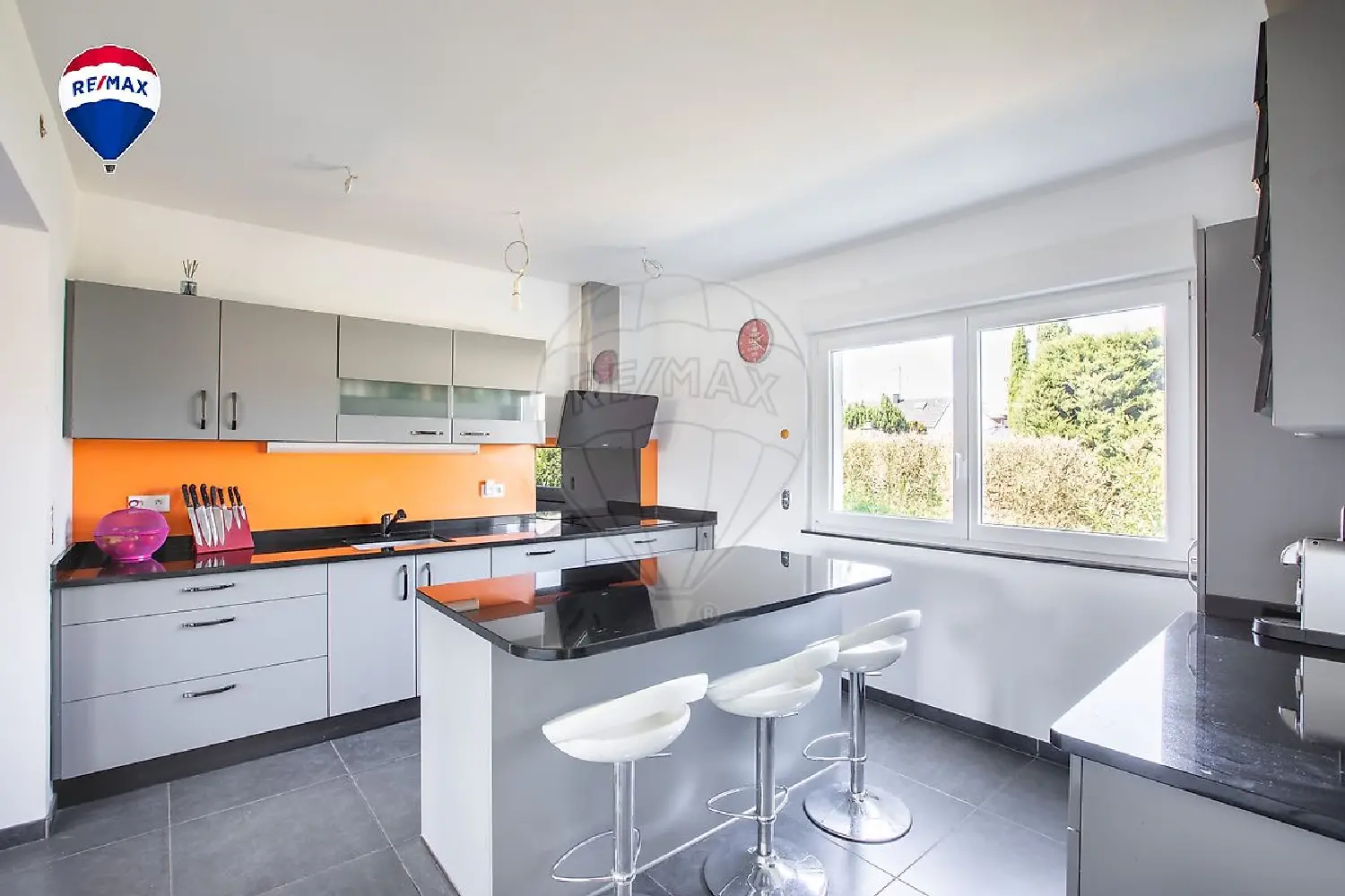  for sale house Feldkirch Haut-Rhin 5