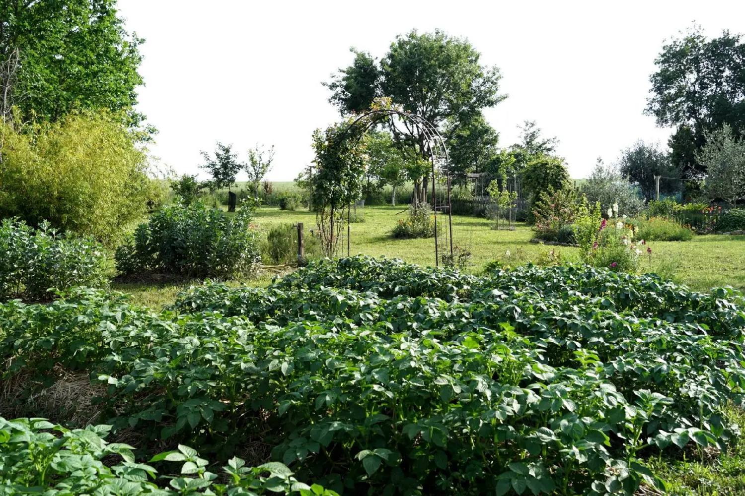  à vendre maison Fleurance Gers 5