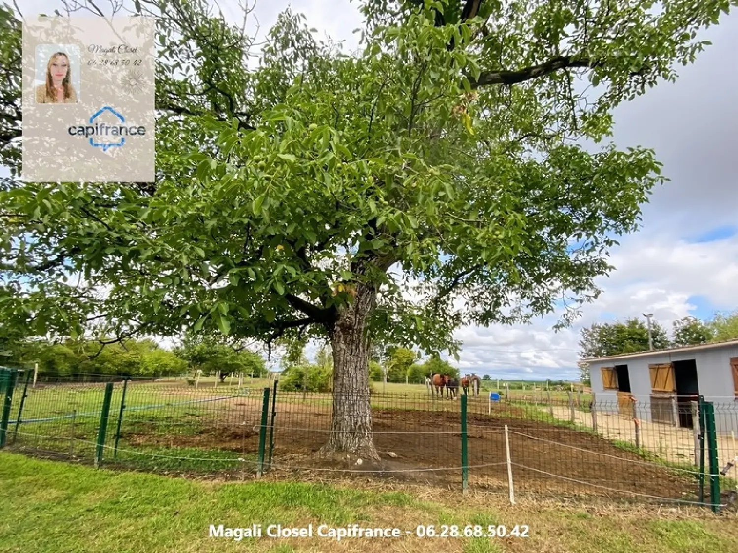  te koop huis Frontenard Saône-et-Loire 3