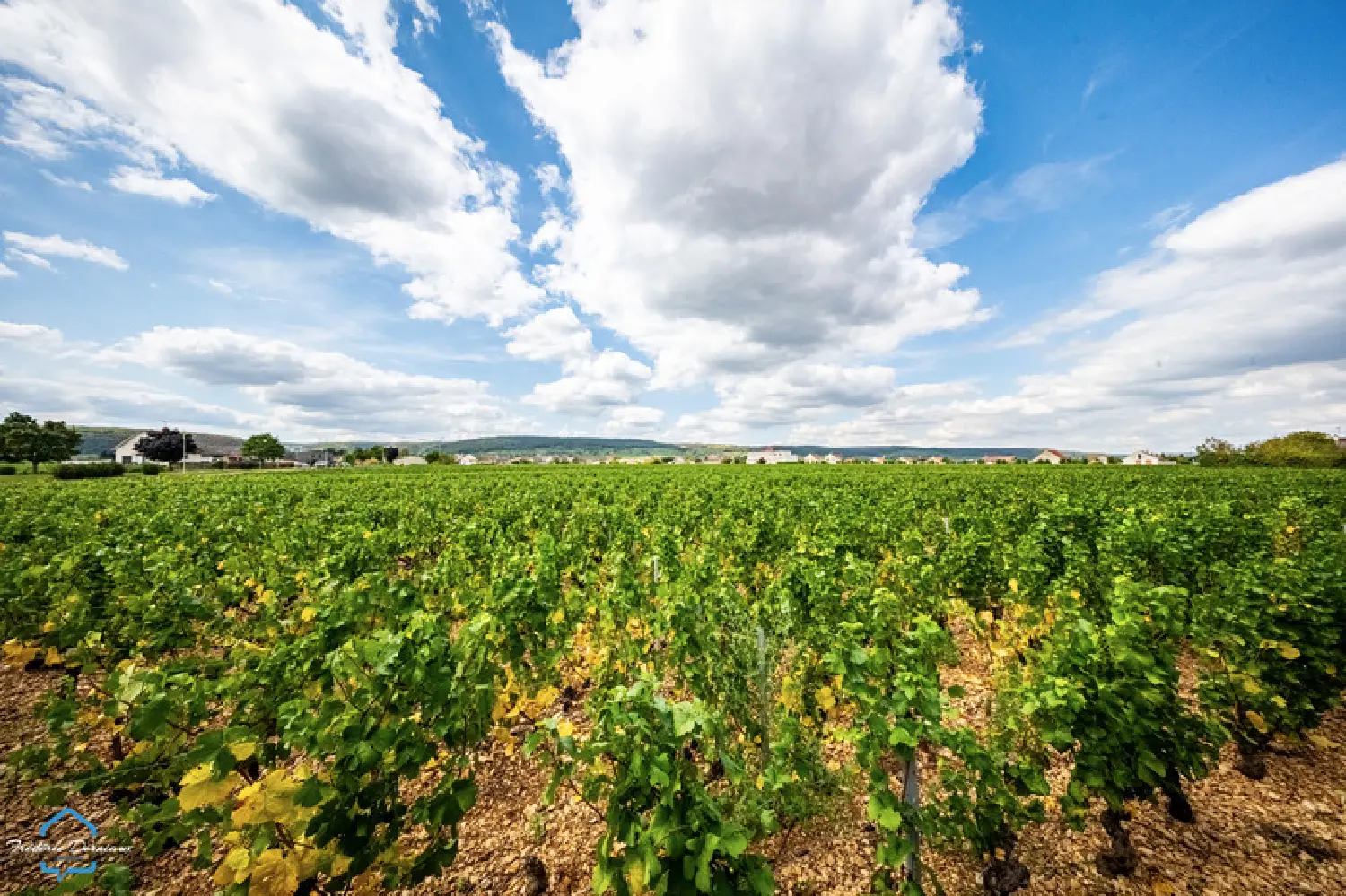  te koop huis Gevrey-Chambertin Côte-d'Or 3