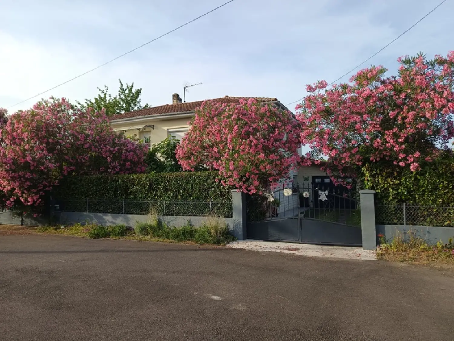  à vendre maison Grenade-sur-l'Adour Landes 3