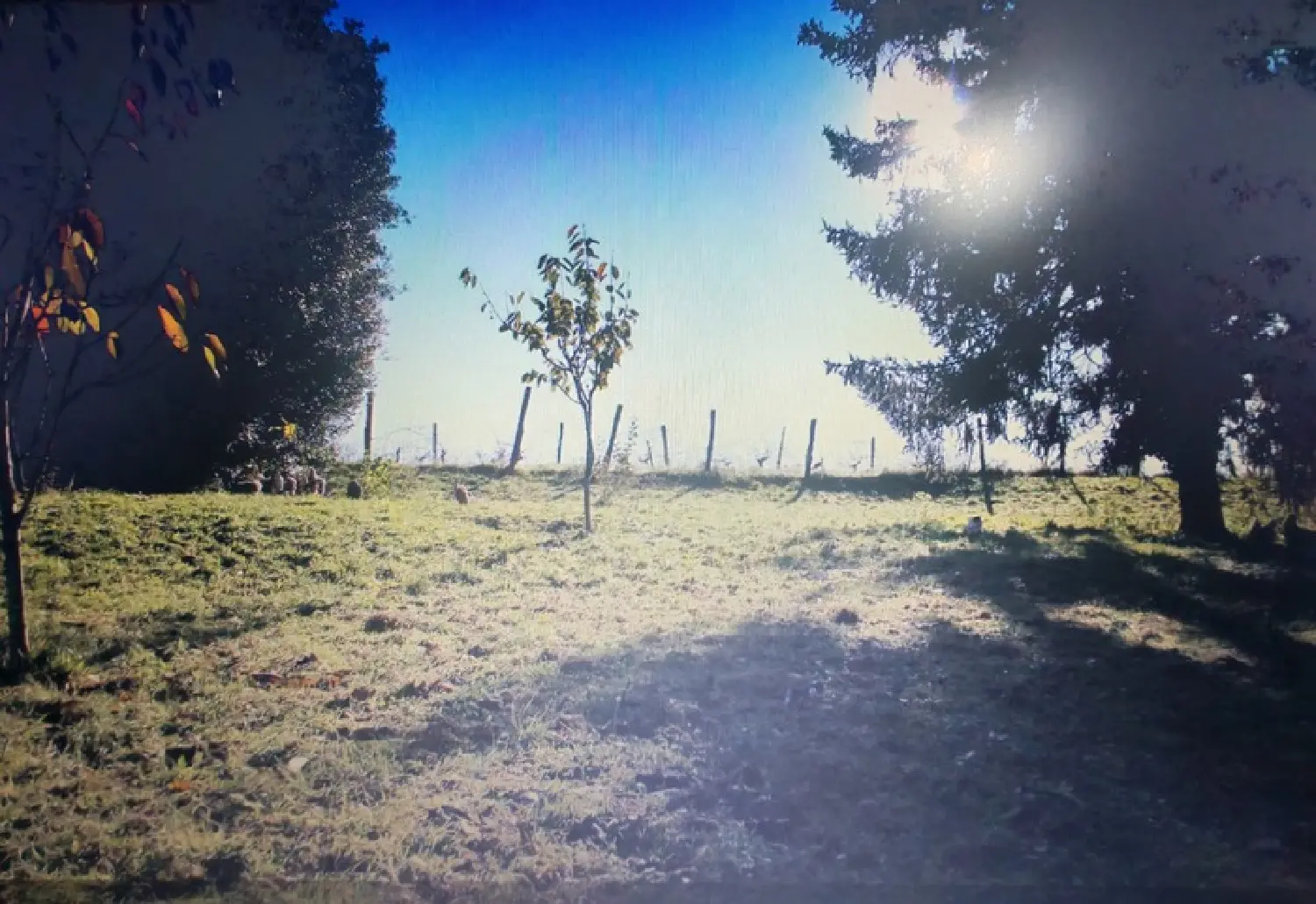  en venta casa Guillac Gironde 6
