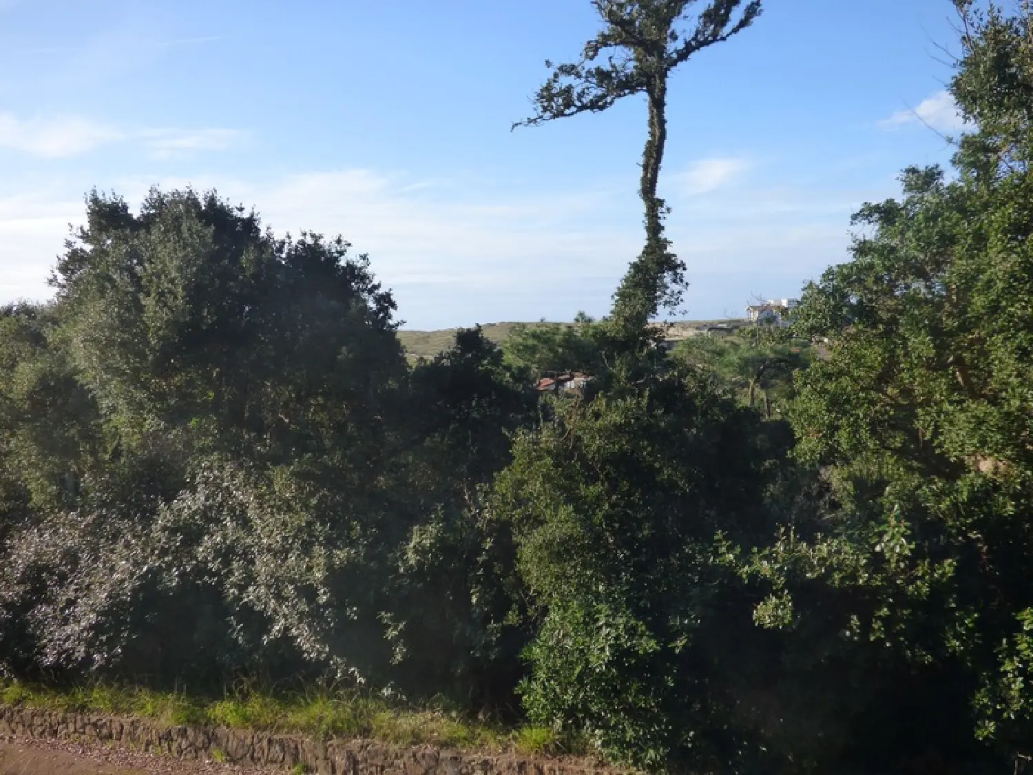  for sale house Hossegor Landes 4