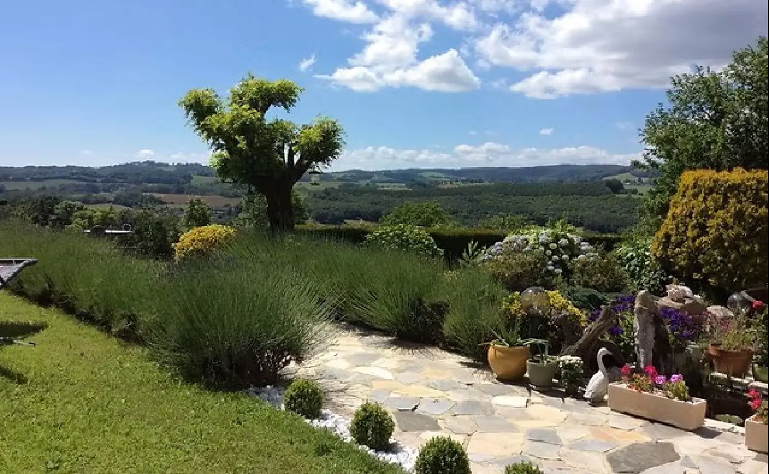  à vendre maison Junhac Cantal 6