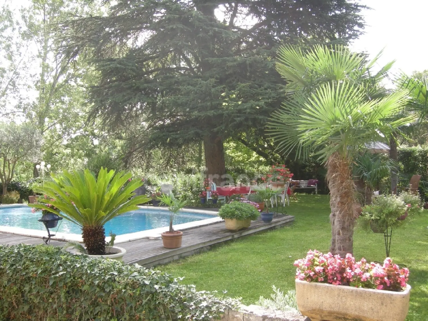  te koop huis Juvignac Hérault 1