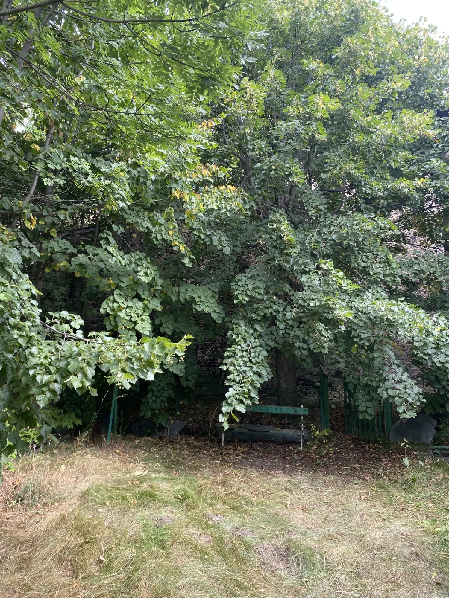  te koop huis La Cabanasse Pyrénées-Orientales 2