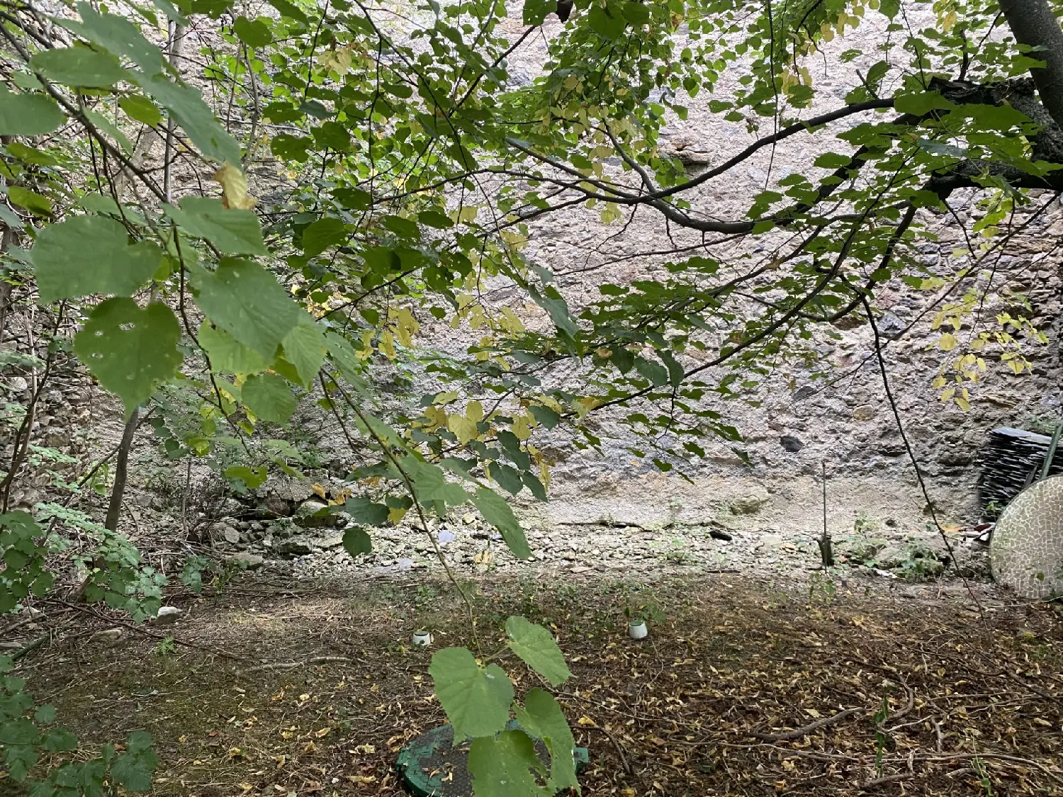  te koop huis La Cabanasse Pyrénées-Orientales 3