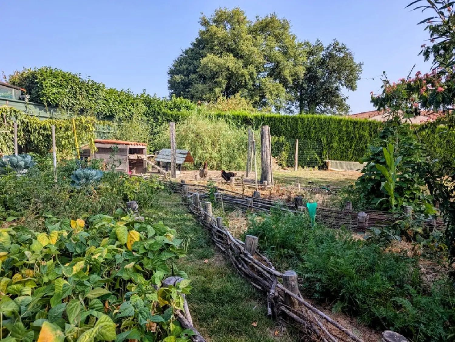  for sale house La Chapelle-Largeau Deux-Sèvres 3