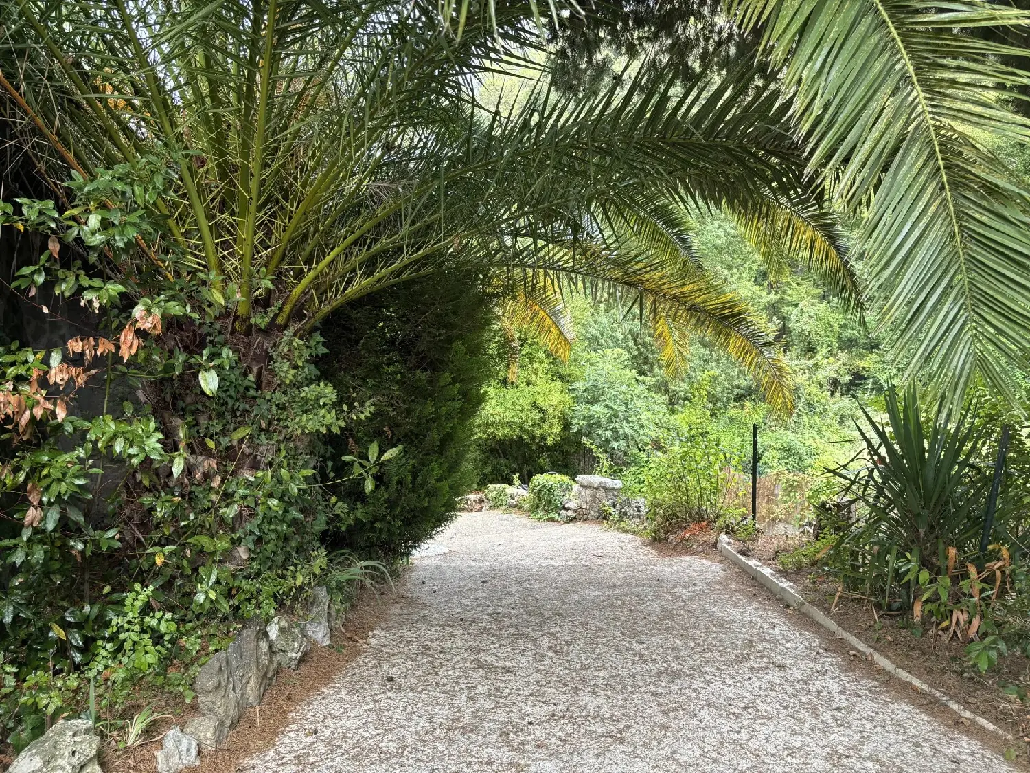  à vendre maison La Colle-sur-Loup Alpes-Maritimes 6